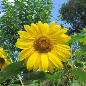 Meet your Posher, Larry